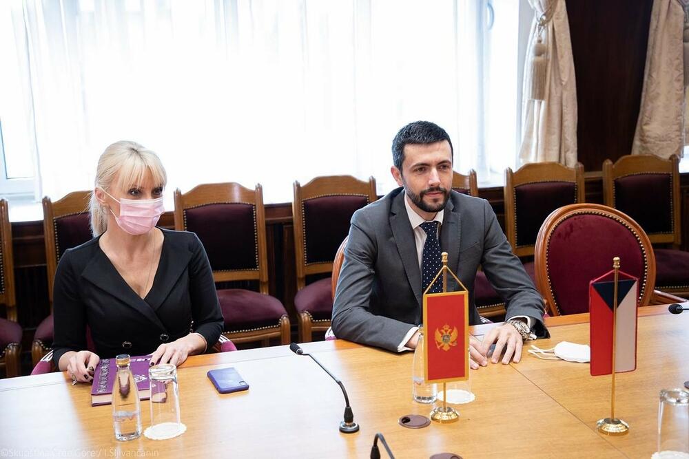 Danijel Živković, Janina Hrebičkova