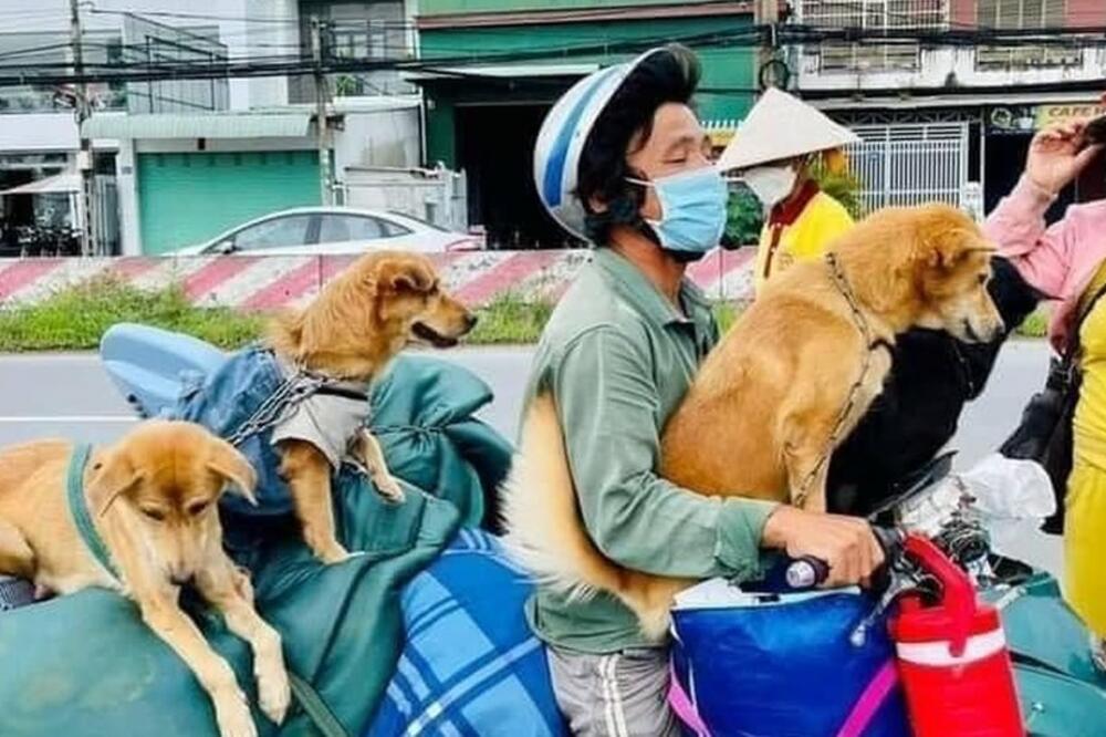 Videi para koji putuju sa psima i prtljagom postali su viralni na Tiktoku u oktobru, Foto: Pham Minh Hung