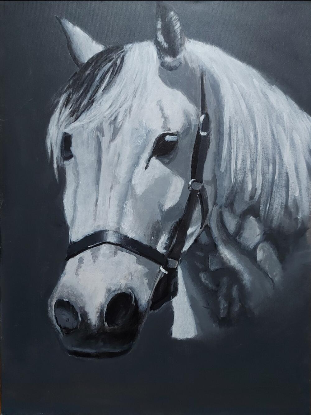 Rad Andrije Đurišića