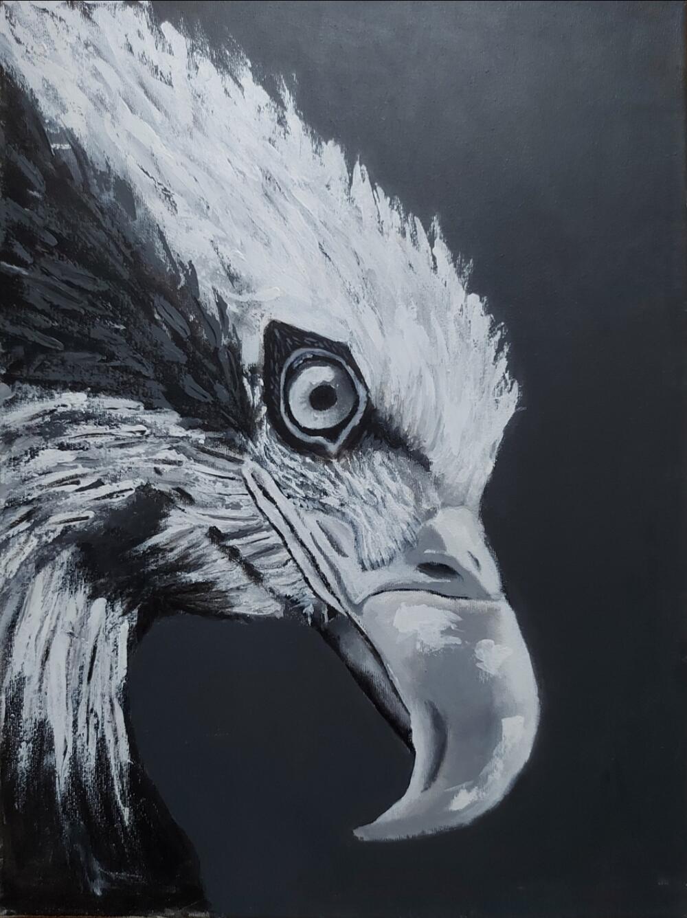 Rad Andrije Đurišića