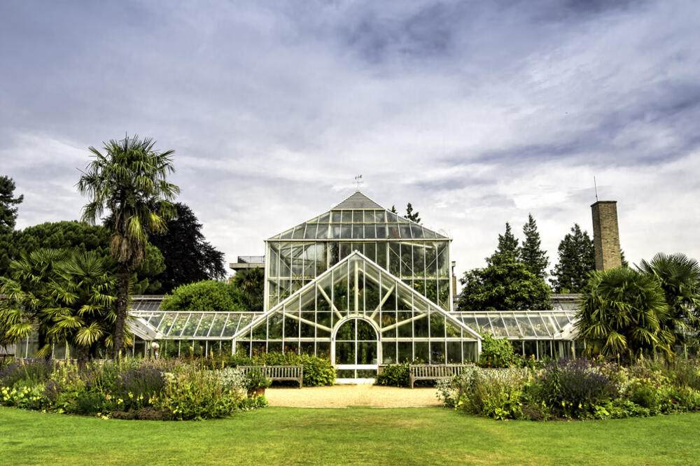 Botanička bašta univerziteta Kembridž, Foto: Shutterstock