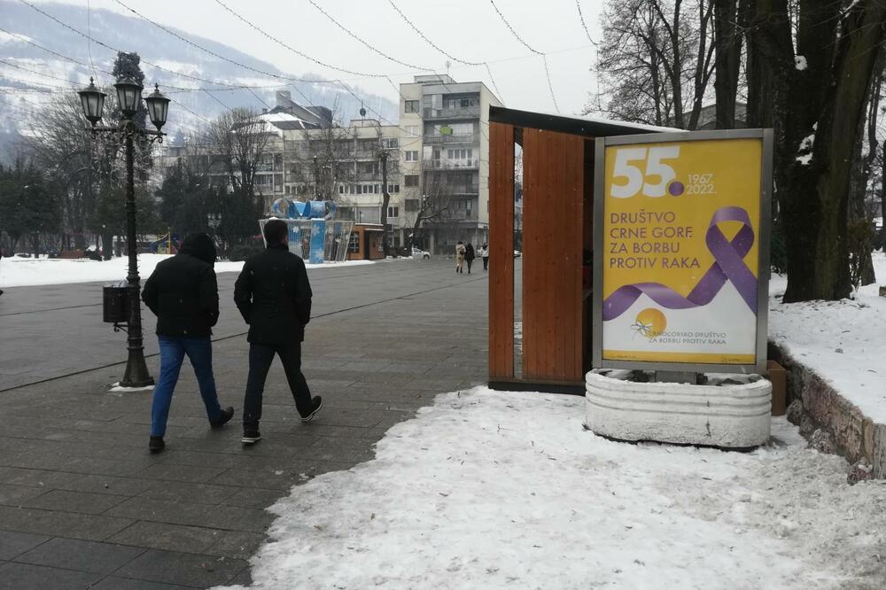 Poster postavljen u Bijelom Polju, Foto: CDPR