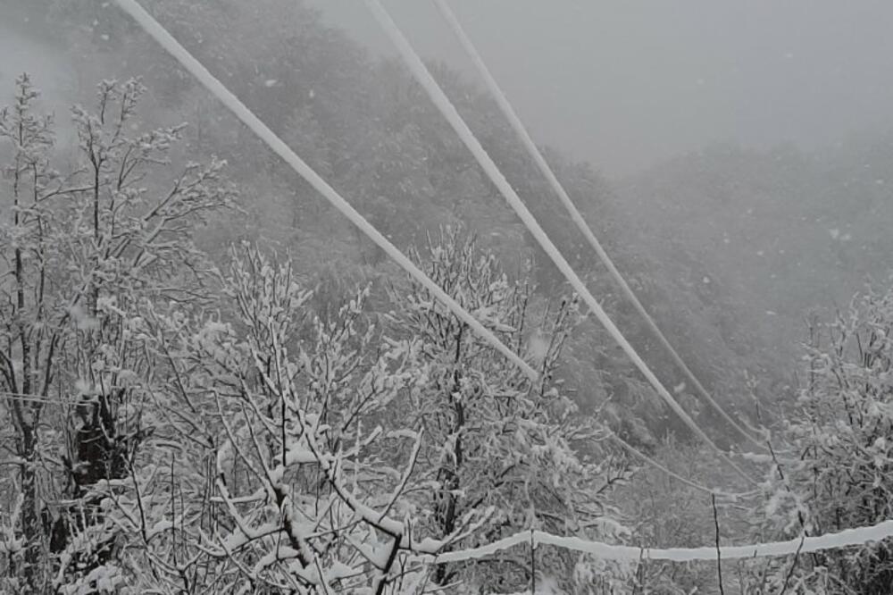 Žice dalekovoda koje idu preko Grujićevog imanja, Foto: Privatna arhiva