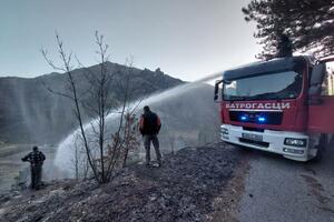 Ugašen šumski požar u mjestu Nudo, u blizini granice sa BiH