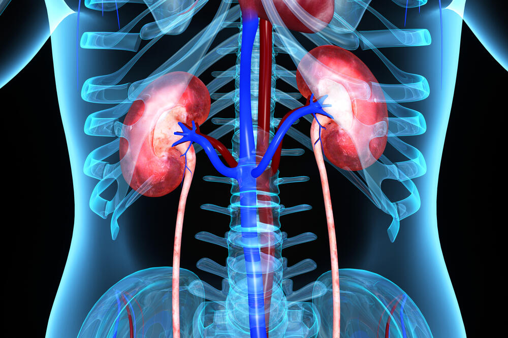 Ilustracija, Foto: Shutterstock