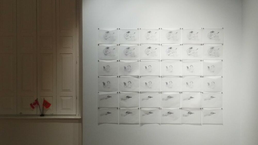 Rad umjetnika iz Kanade, porijeklom iz Sarajeva, Sadka Hadžihasanovića