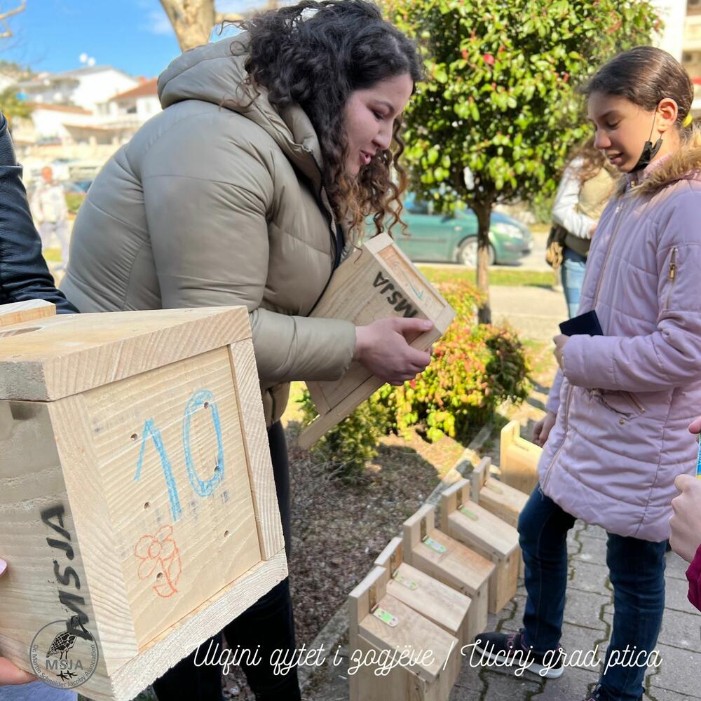 <p>"Društvo MSJA je doniralo gradu 20 kućica za ptice, od kojih je 10 postavljeno na dionici od zelene površine ispred zgrade Opštine Ulcinj, duž Bulevara Skender Beg preko Ploče do Pristana (preko puta Holegra)", piše u saopštenju</p>