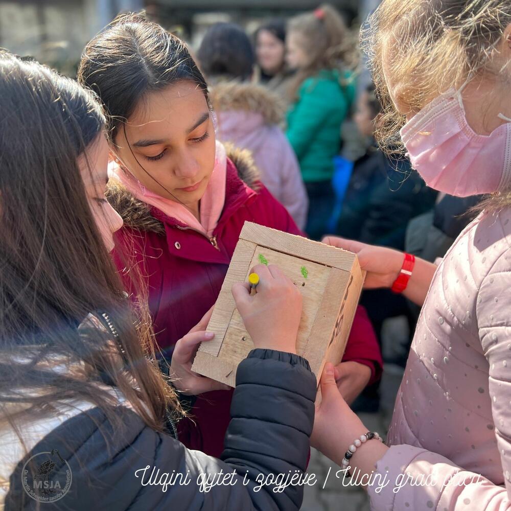 <p>"Društvo MSJA je doniralo gradu 20 kućica za ptice, od kojih je 10 postavljeno na dionici od zelene površine ispred zgrade Opštine Ulcinj, duž Bulevara Skender Beg preko Ploče do Pristana (preko puta Holegra)", piše u saopštenju</p>