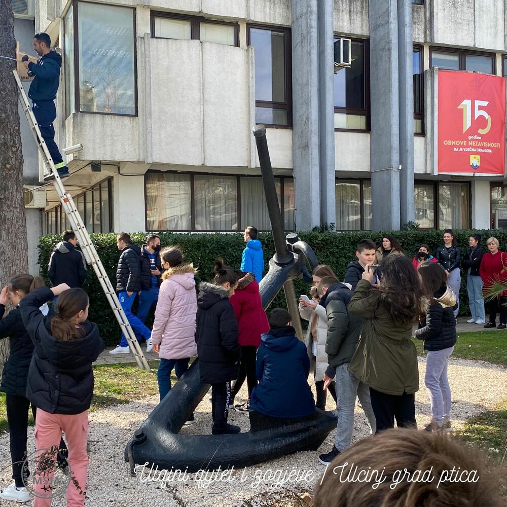 <p>"Društvo MSJA je doniralo gradu 20 kućica za ptice, od kojih je 10 postavljeno na dionici od zelene površine ispred zgrade Opštine Ulcinj, duž Bulevara Skender Beg preko Ploče do Pristana (preko puta Holegra)", piše u saopštenju</p>