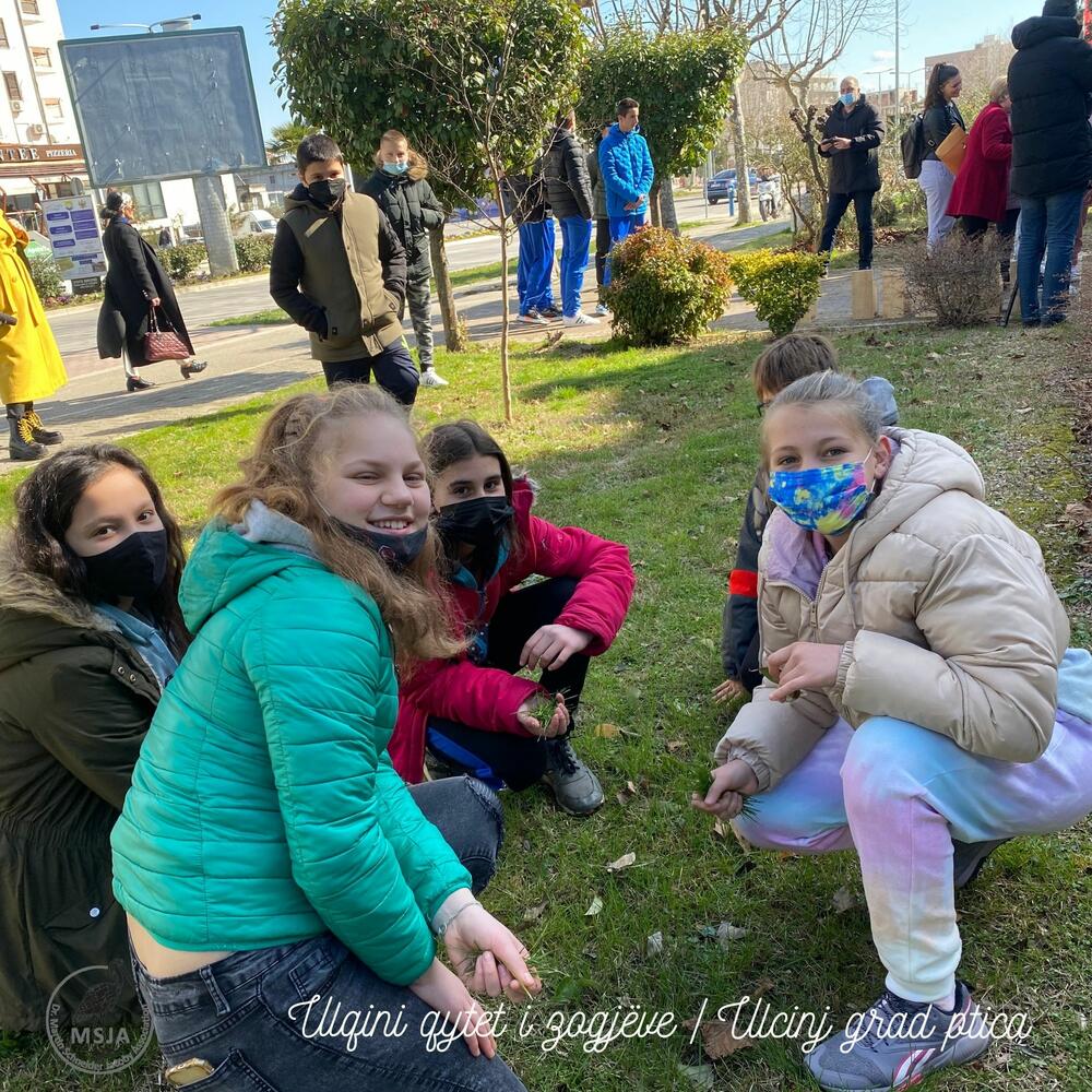 <p>"Društvo MSJA je doniralo gradu 20 kućica za ptice, od kojih je 10 postavljeno na dionici od zelene površine ispred zgrade Opštine Ulcinj, duž Bulevara Skender Beg preko Ploče do Pristana (preko puta Holegra)", piše u saopštenju</p>