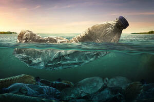 Jedna od najambicioznijih ekoloških akcija od 1989: Svijet dobija...