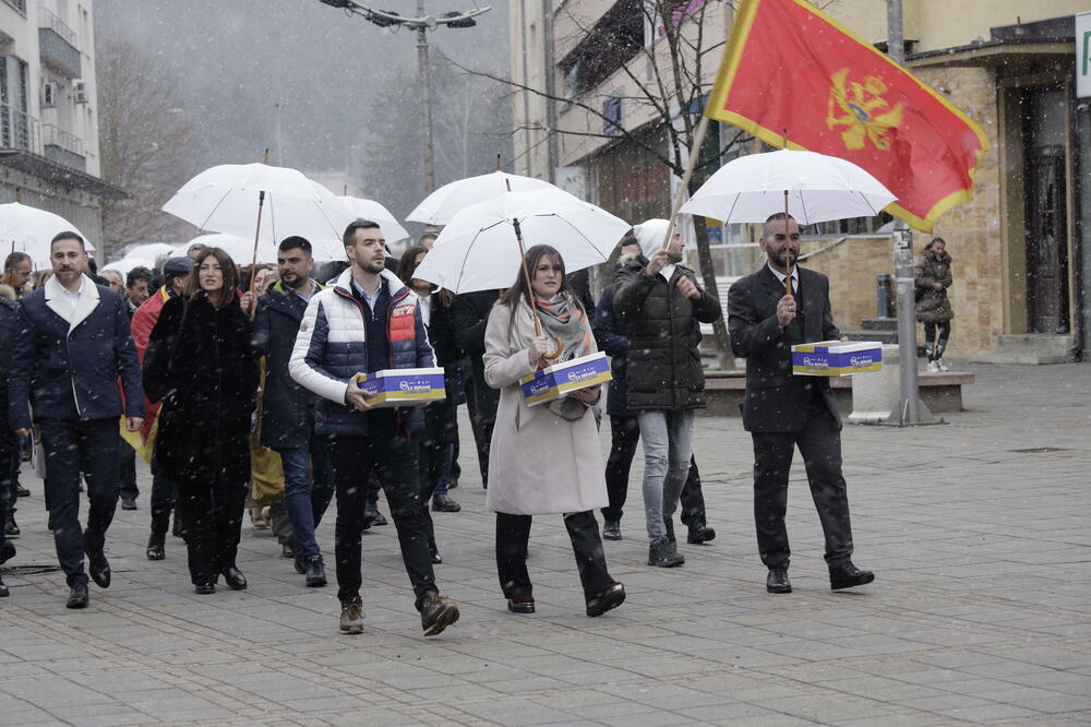 Nosilac liste DPS-a Lidija Kljajić, Foto: DPS
