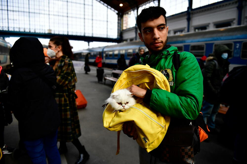 <p>Milion izbjeglica pobjeglo je iz Ukrajine u susjedne zemlje od početka ruskog napada prije nedjelju dana, izjavio je visoki povjerenik UN za izbjeglice Filipo Grandi. Sa ljudima koji su pobjegli iz Ukrajine su i mnogi kućni ljubimci, koje vlasnici nisu željeli da ostave za sobom.</p>