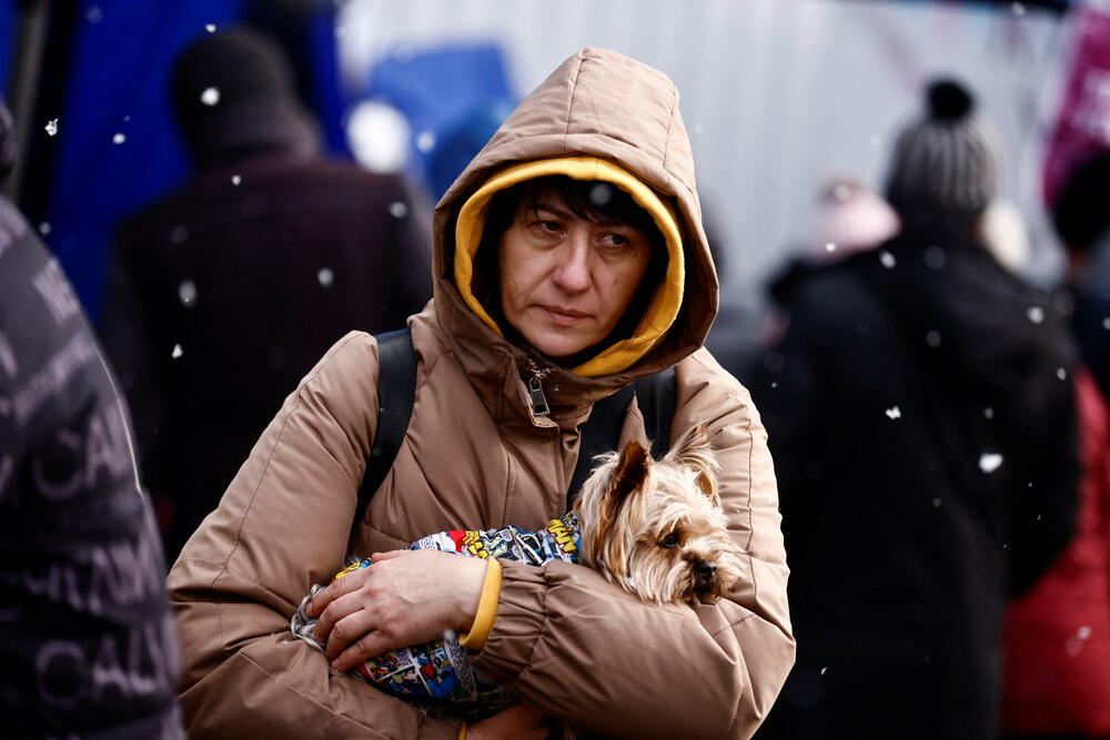 <p>Milion izbjeglica pobjeglo je iz Ukrajine u susjedne zemlje od početka ruskog napada prije nedjelju dana, izjavio je visoki povjerenik UN za izbjeglice Filipo Grandi. Sa ljudima koji su pobjegli iz Ukrajine su i mnogi kućni ljubimci, koje vlasnici nisu željeli da ostave za sobom.</p>
