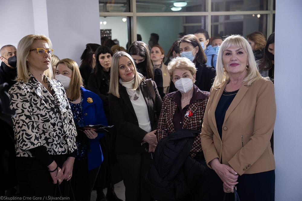 <p>Ženski klub Skupštine Crne Gore obilježava godinu dana postojanja, a likovnom izložbom, u galeriji "Centar", skreću pažnju i na položaj umjetnica</p>