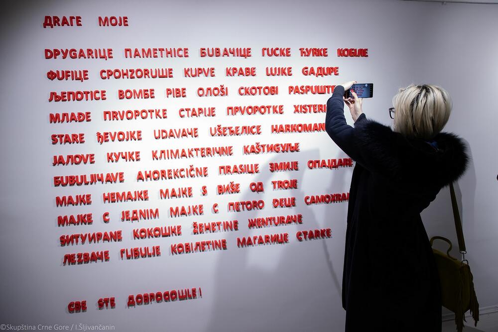 <p>Ženski klub Skupštine Crne Gore obilježava godinu dana postojanja, a likovnom izložbom, u galeriji "Centar", skreću pažnju i na položaj umjetnica</p>