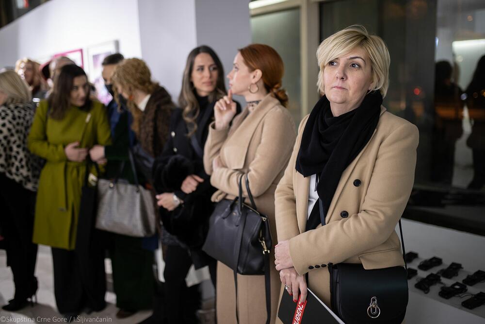 <p>Ženski klub Skupštine Crne Gore obilježava godinu dana postojanja, a likovnom izložbom, u galeriji "Centar", skreću pažnju i na položaj umjetnica</p>