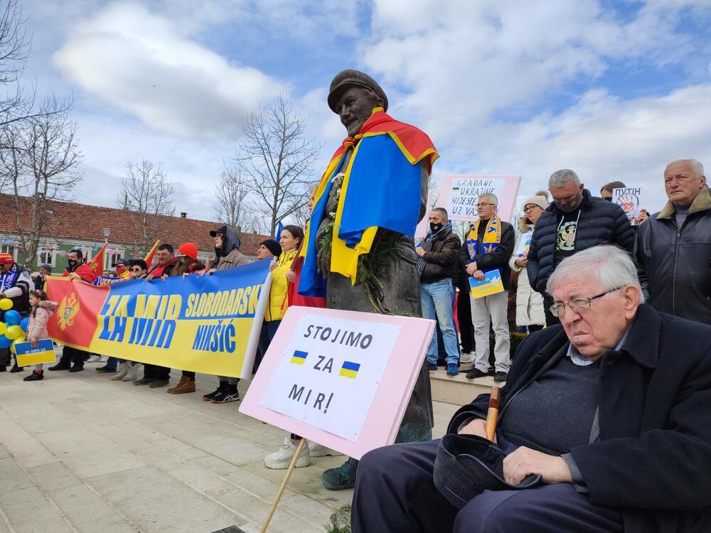 <p>"Crnogorke su kroz istorju i te kакo osjetile surovost rata", istakla je Ratka Božović, kazavši da je agresija nad Ukrajinom ujedinila sav civilizovani svijet</p>