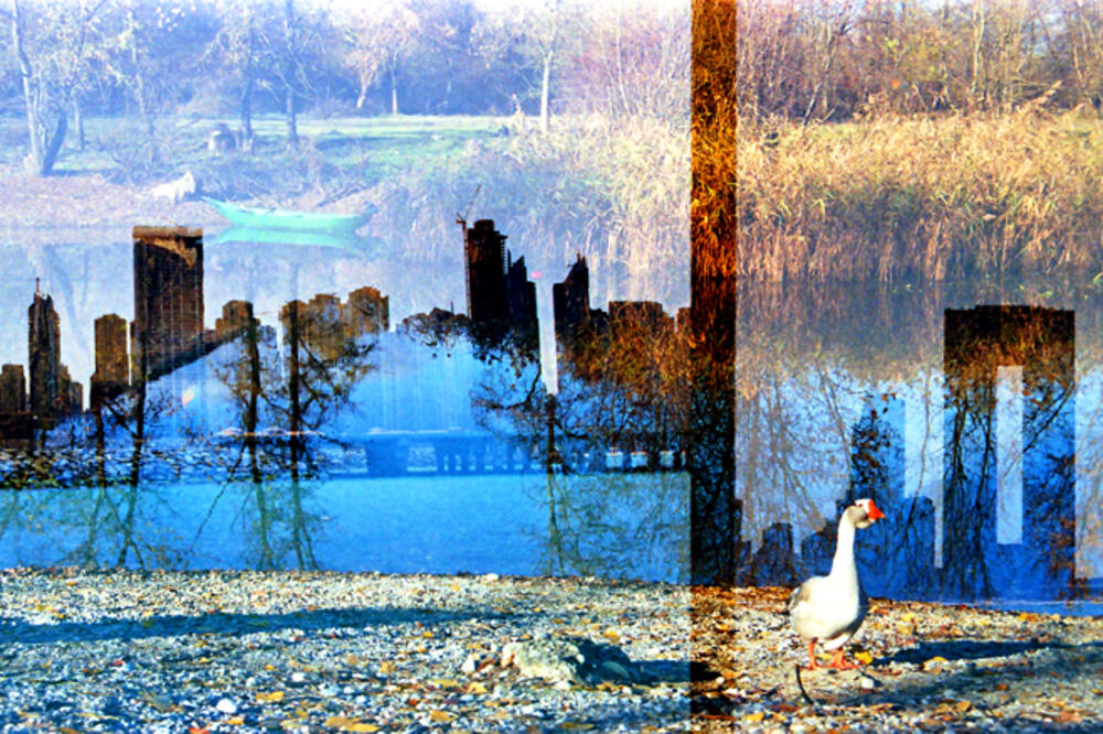 Foto: Damir Murseljević