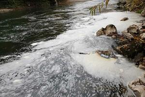 Lož ulje kanalizacijom dospjelo u Lim