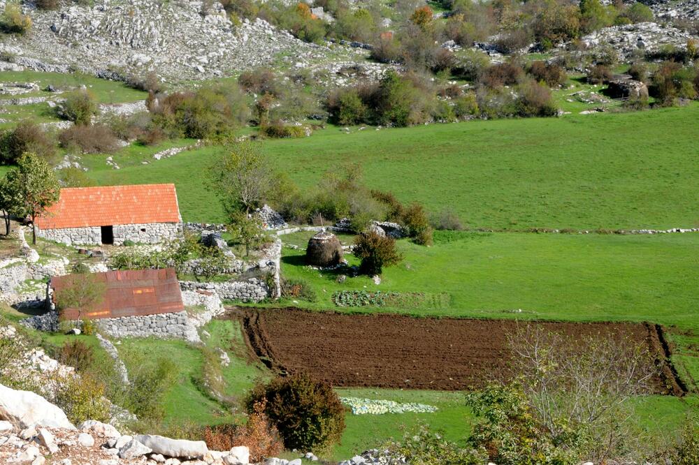 U najavi rješenje problema: Katunska nahija, Foto: Boris Pejovic