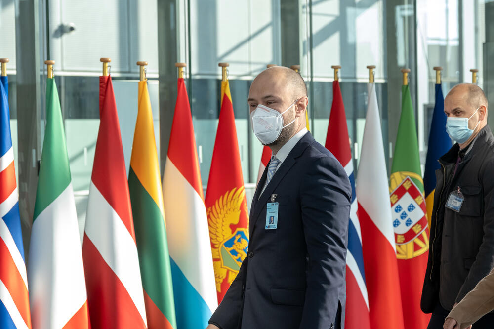 Dijelimo vrijednosne stavove većine međunarodne zajednice: Radulović, Foto: NATO F.garrido-ramirez