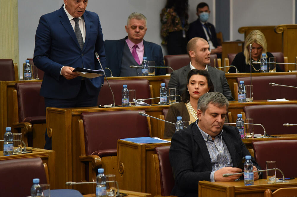 Poslanici u Skupštini, Foto: Luka Zekovic