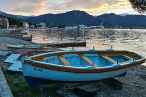 Todorovićeva pasara u ratu služila u britanskoj Kraljevskoj...