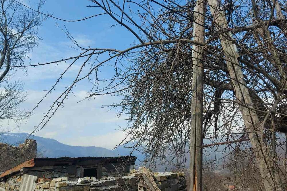 Strujne žice u krošnji drveća, Foto: Privatna arhiva