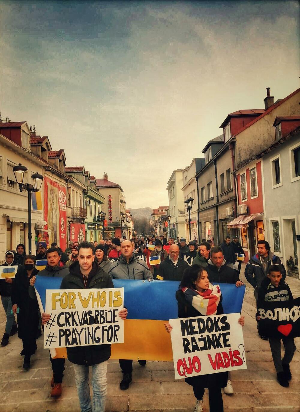 Cetinje protest