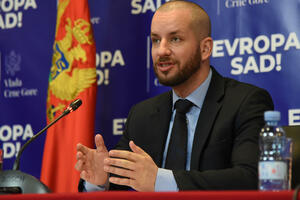 CGO: Majka Janka Odovića prihodovala od Ministarstva finansija...