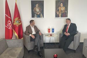 Šehović-Gandel: Crna Gora mora imati stabilnu i jasno evropski i...