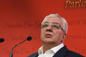 Mandić: Crna Gora da bude primjer uzajamnog uvažavanja i pomaganja