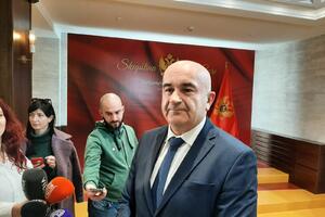 Joković: Ne mogu dati precizan odgovor o sastavu manjinske vlade