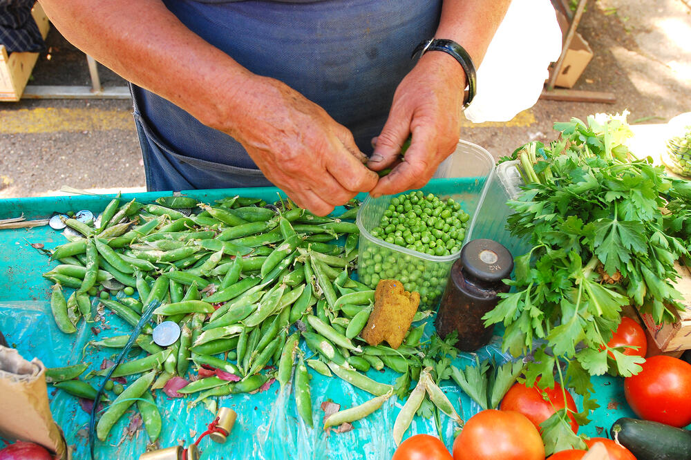 Ilustracija, Foto: Shutterstock