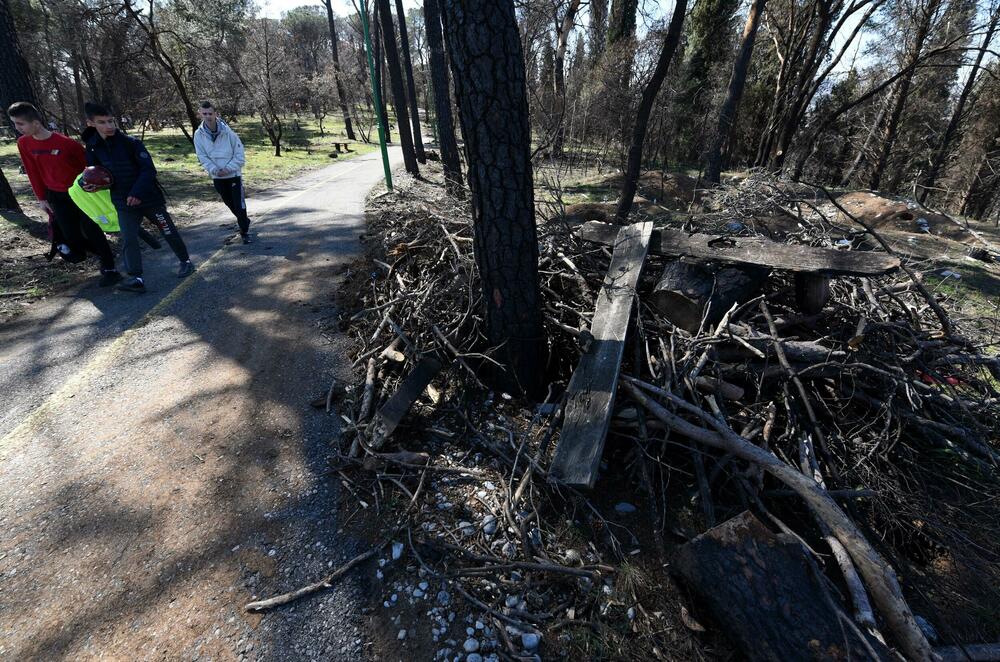 <p>Radnici podgoričkog preduzeća uklanjaju izgorjela stabla na Gorici, iako Glavni grad traži firmu koja će za gotovo 10.000 eura to uraditi u kratkom roku...</p>