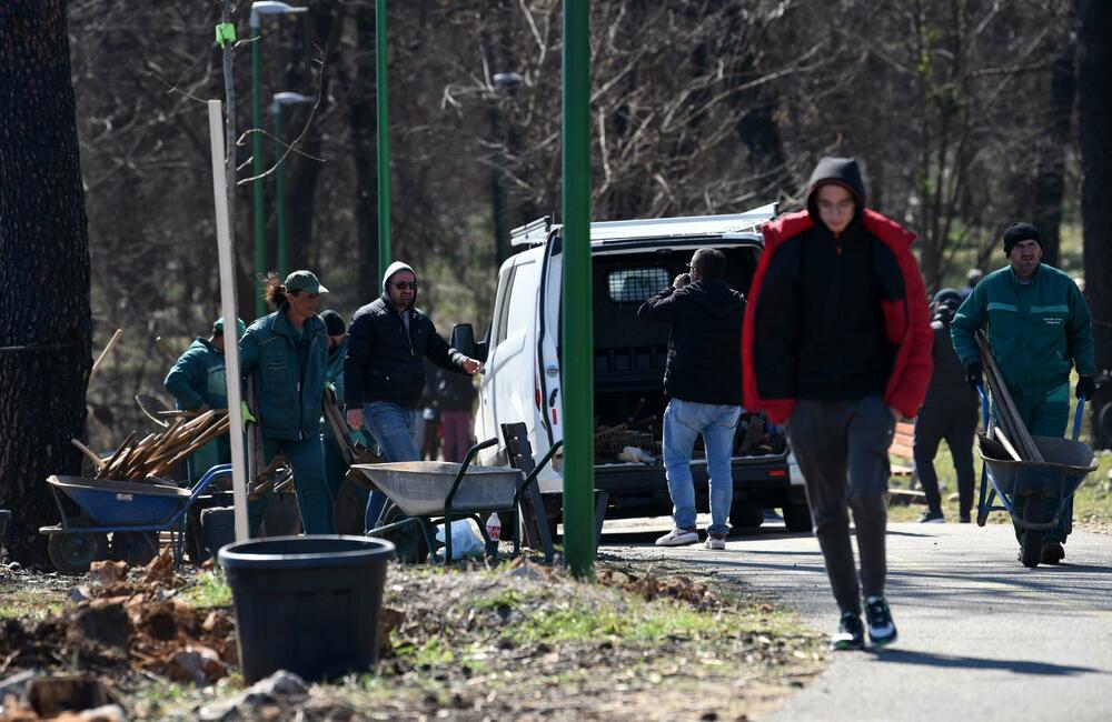 <p>Radnici podgoričkog preduzeća uklanjaju izgorjela stabla na Gorici, iako Glavni grad traži firmu koja će za gotovo 10.000 eura to uraditi u kratkom roku...</p>
