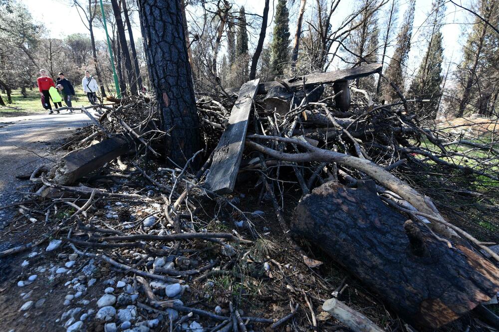 Foto: Boris Pejović