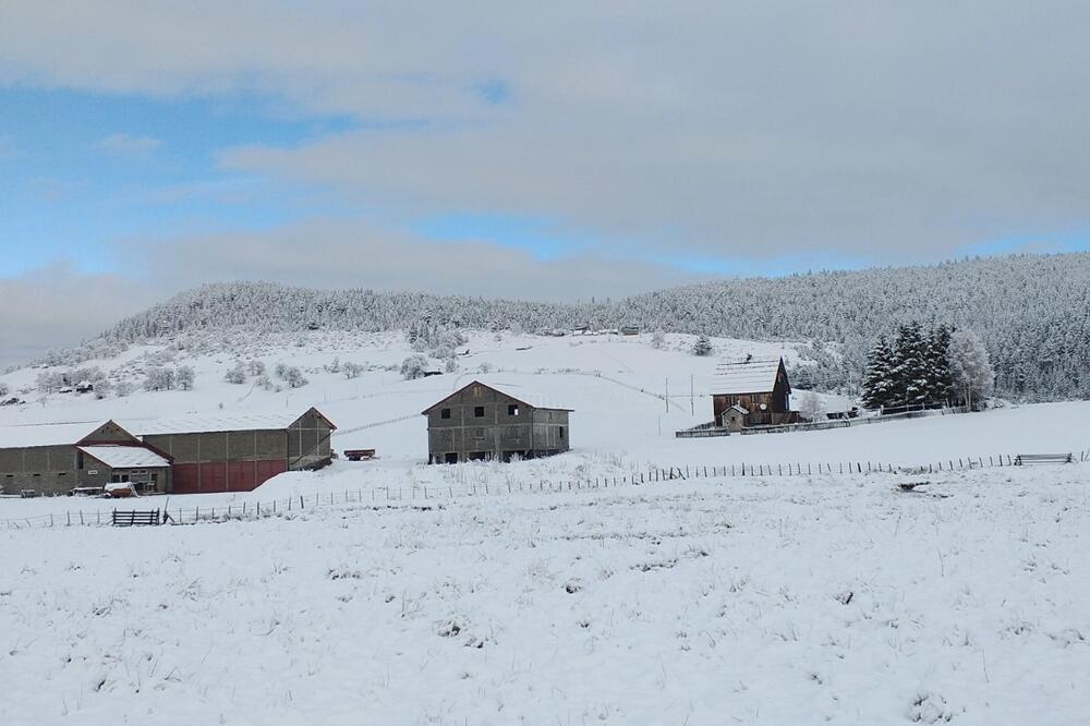 Kosanica (fotografija iz zimskog perioda), Foto: Goran Malidžan