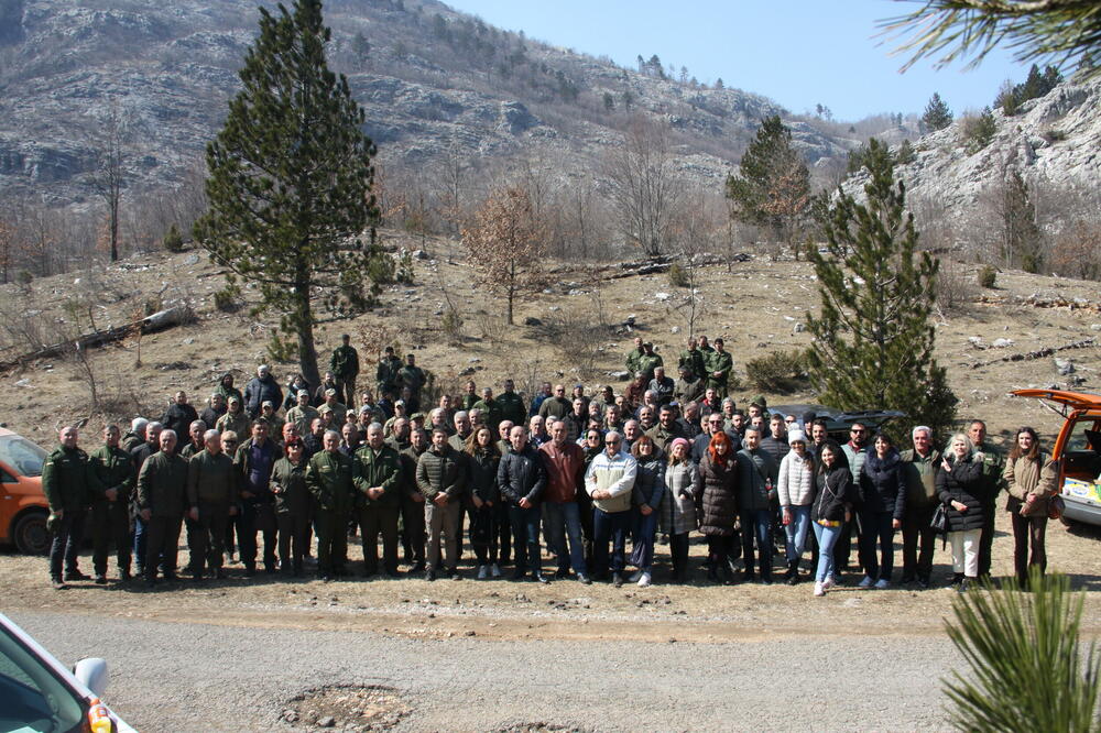 Međunarodni dan šuma, Foto: Uprava za šume