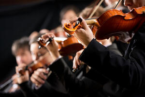 U srijedu koncert Crnogorskog orkestra mladih