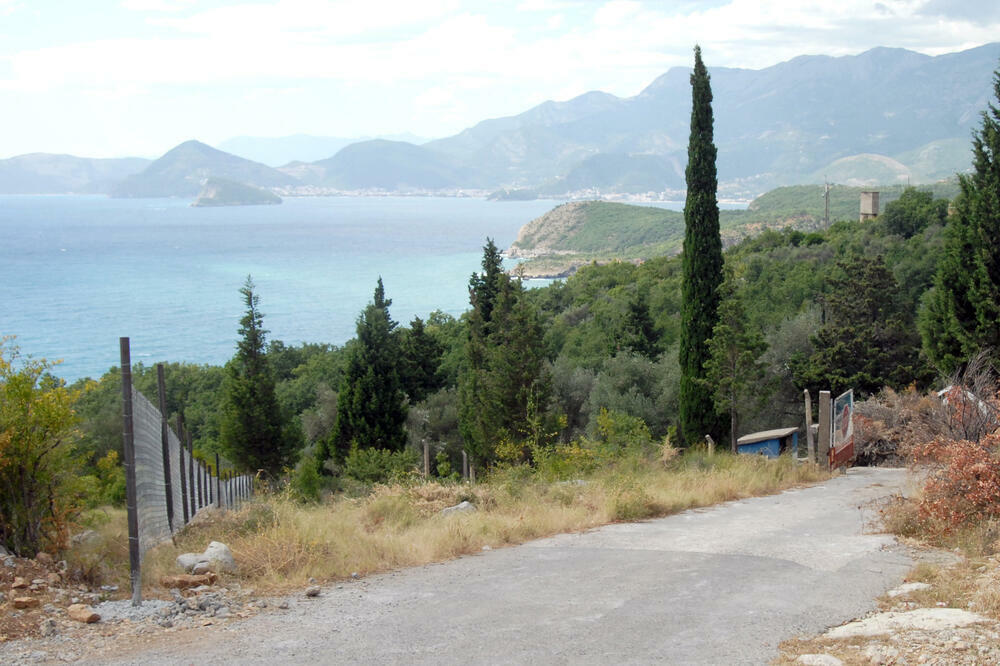 Skočiđevojka, detalj, Foto: Vuk Lajović