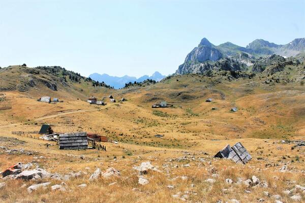 Upoznaj domovinu: Sinja(je)vina