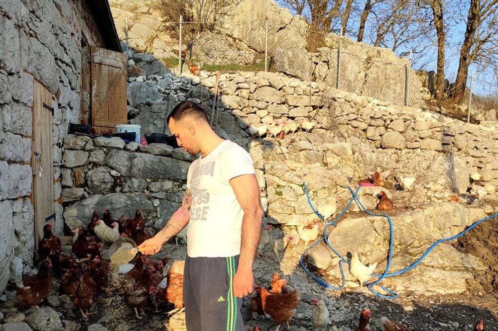 Krivokapić sa svojim kokoškama, Foto: Svetlana Mandić