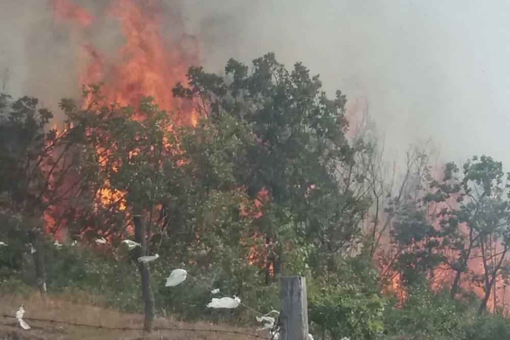 Požari ostavljaju pusto, Foto: SZS
