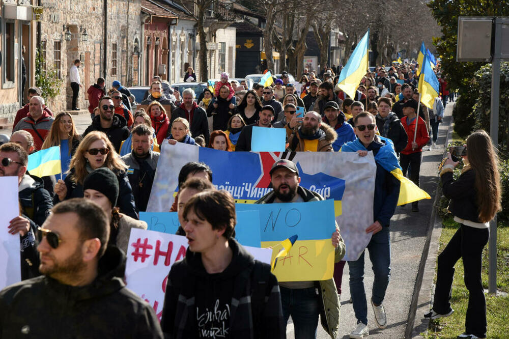 Nedavni skup podrške Ukrajini u Podgorici, Foto: Vijesti/Luka Zeković