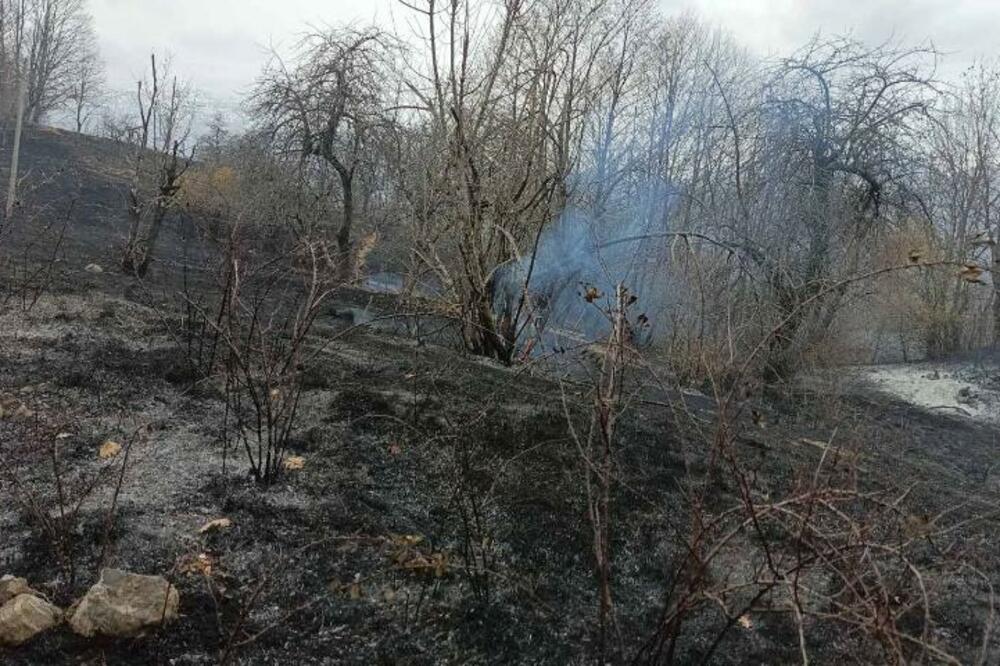 Detalj iz kolašinskih Bara, Foto: Služba zaštite i spašavanja Kolašin