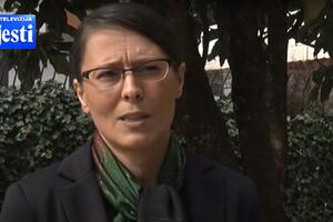 Ćalović-Marković: Taoci smo političkih partija i njihovih...