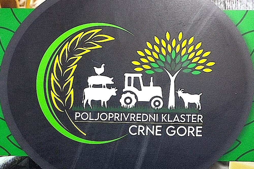 Foto: Svetlana Mandić