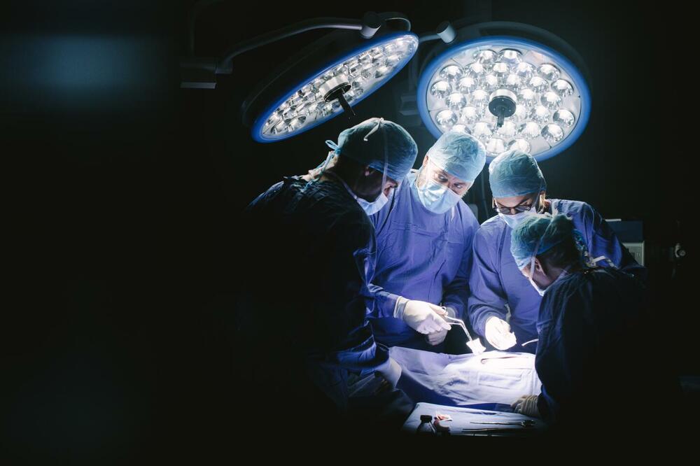 Prva transplantacija bubrega u Crnoj Gori urađena prije devet godina (ilustracija), Foto: Shutterstock